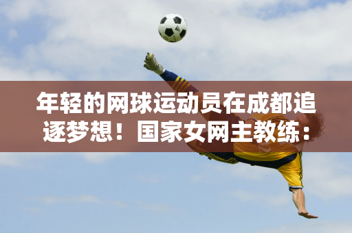 英超赛场中